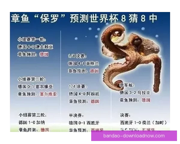 世界杯竞猜赔率查询与实时数据分析趋势解读及安全参考指南全攻略